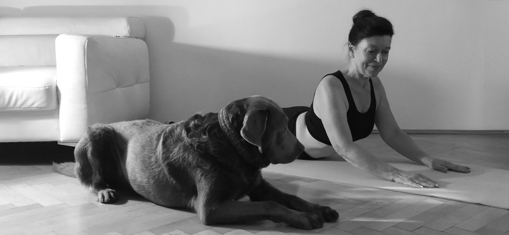 Yoga in Leipzig-Gohlis im Makerspace
Yoga - Dein Weg zu Dir